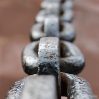 /album/macro/frida-dumont-img-5446-jpg/